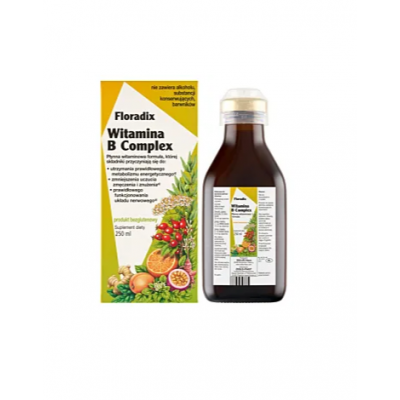 Floradix Witamina B Complex 250ml - 4004148339349.jpg