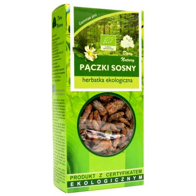 Sosna pączki EKO 50g Dary Natury - 5902741004024.jpg