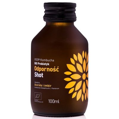 Shot Kombucha Odporność Bez Dodatku Cukrów Bezglutenowy BIO 100ml Vigo - 5902768514001.jpg