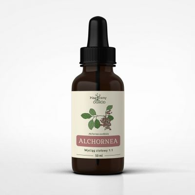 Alchornea cordifolia nalewka 1:1 50ml Nanga  - 5903076400284.jpg