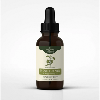 Houttuynia cordata nalewka 1:1 50ml Nanga  - 5903076406415.jpg