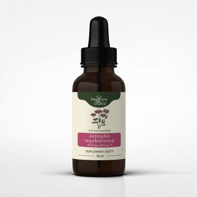 Echinacea angustifolia / Jeżówka nalewka 1:1 50ml Nanga - 5903076418975.jpg