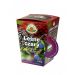 Leśne czary 100g Natura Wita