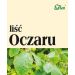 Liść oczaru 50g Flos