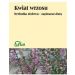 Wrzos kwiat 50g Flos