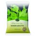 Lubczyk korzeń 50g Kawon