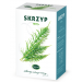 Skrzyp herbata ekspresowa 30x2g Kawon