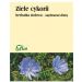 Ziele cykorii 50g Flos