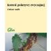 Pokrzywa zwyczajna korzeń 50g Flos