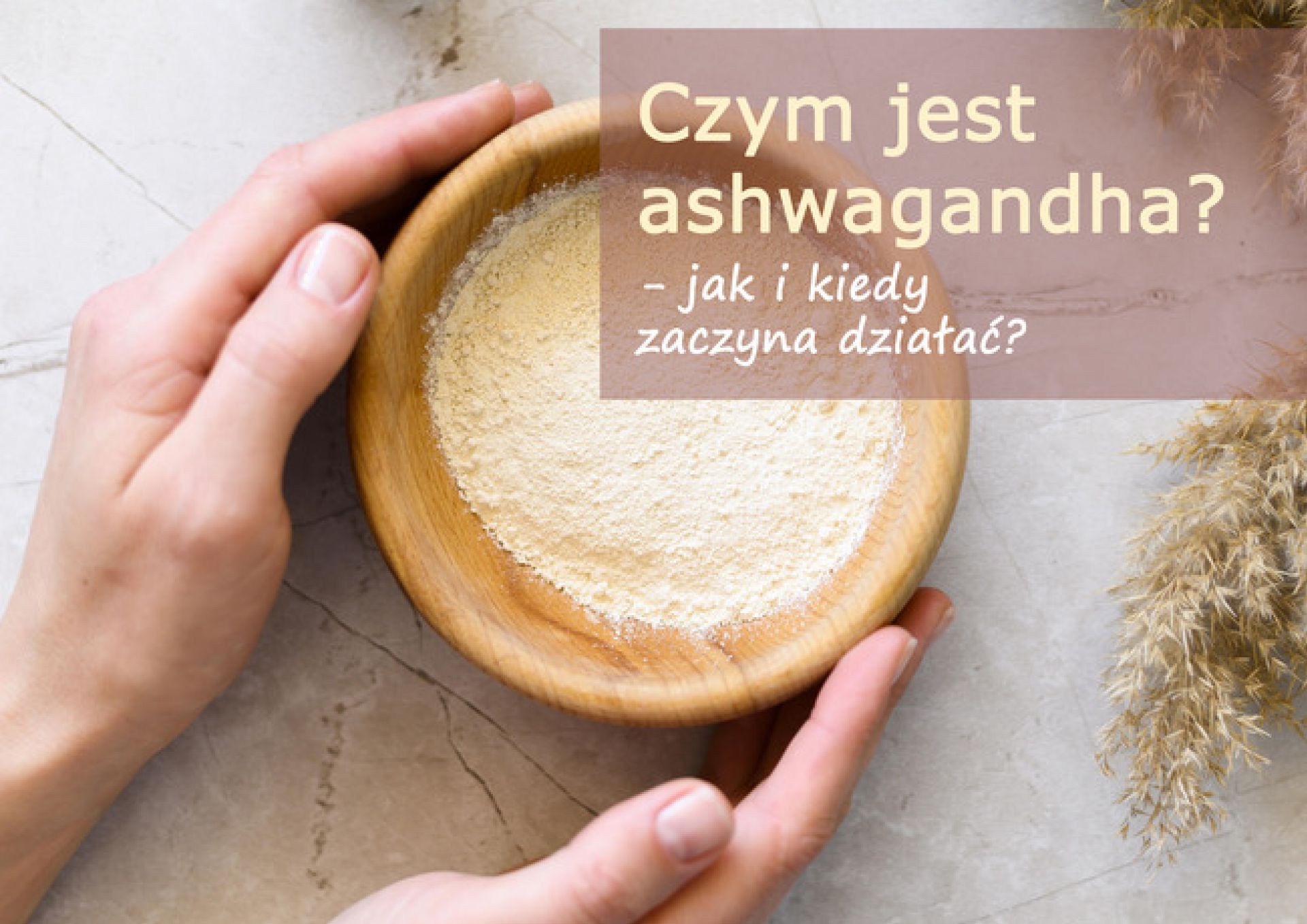 Czym jest ashwagandha? Jak i kiedy zaczyna działać? - czym_jest_ashwagandha_(1).jpg