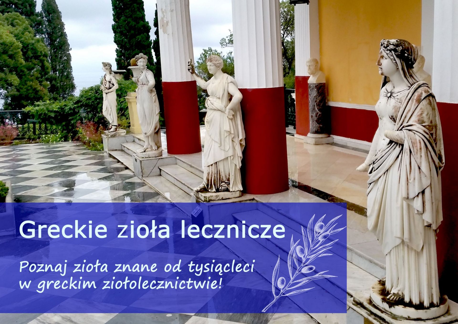 Greckie zioła lecznicze  - greckie_ziola_lecznicze.jpg