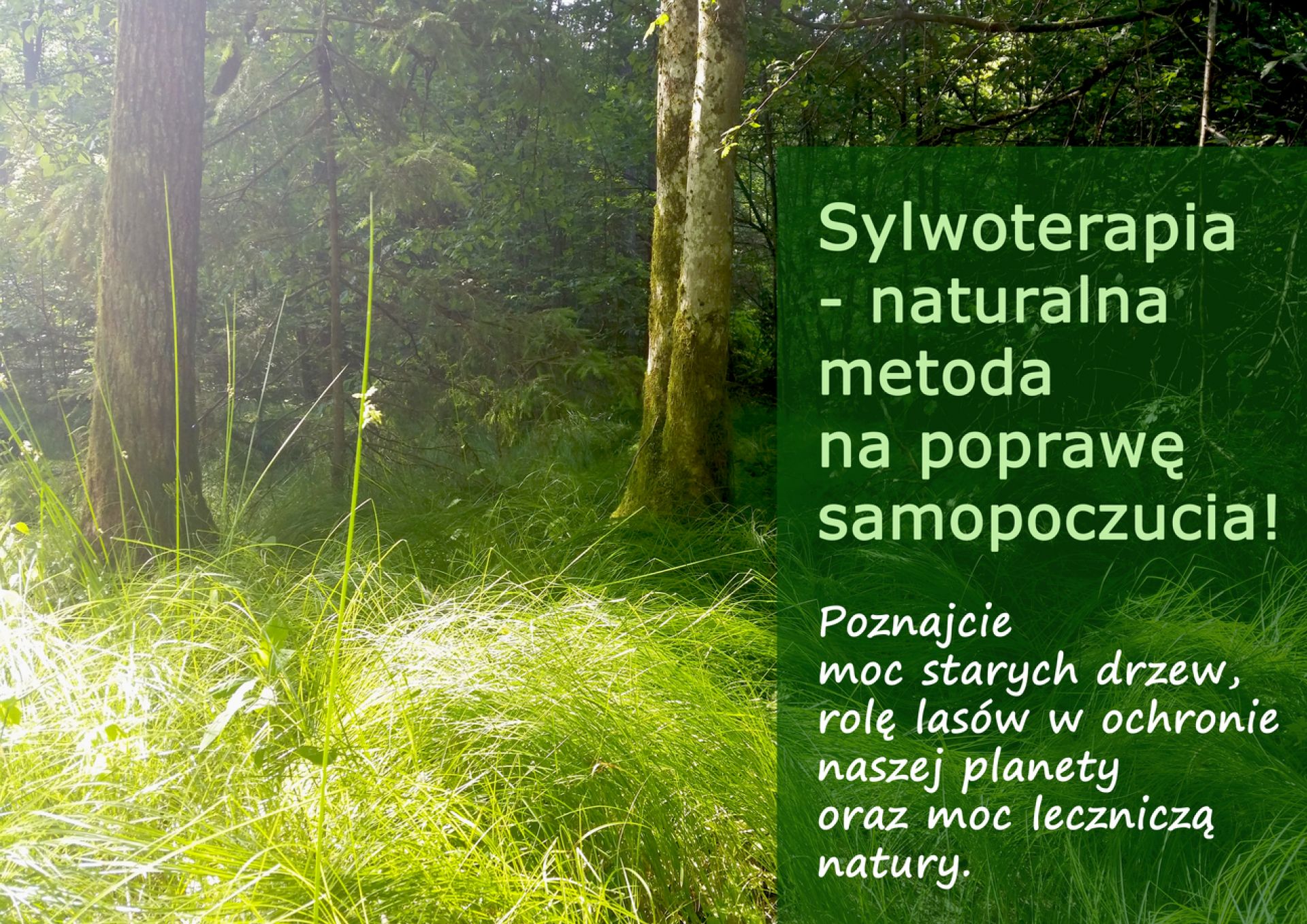 Sylwoterapia - sylwoterapia_male.jpg