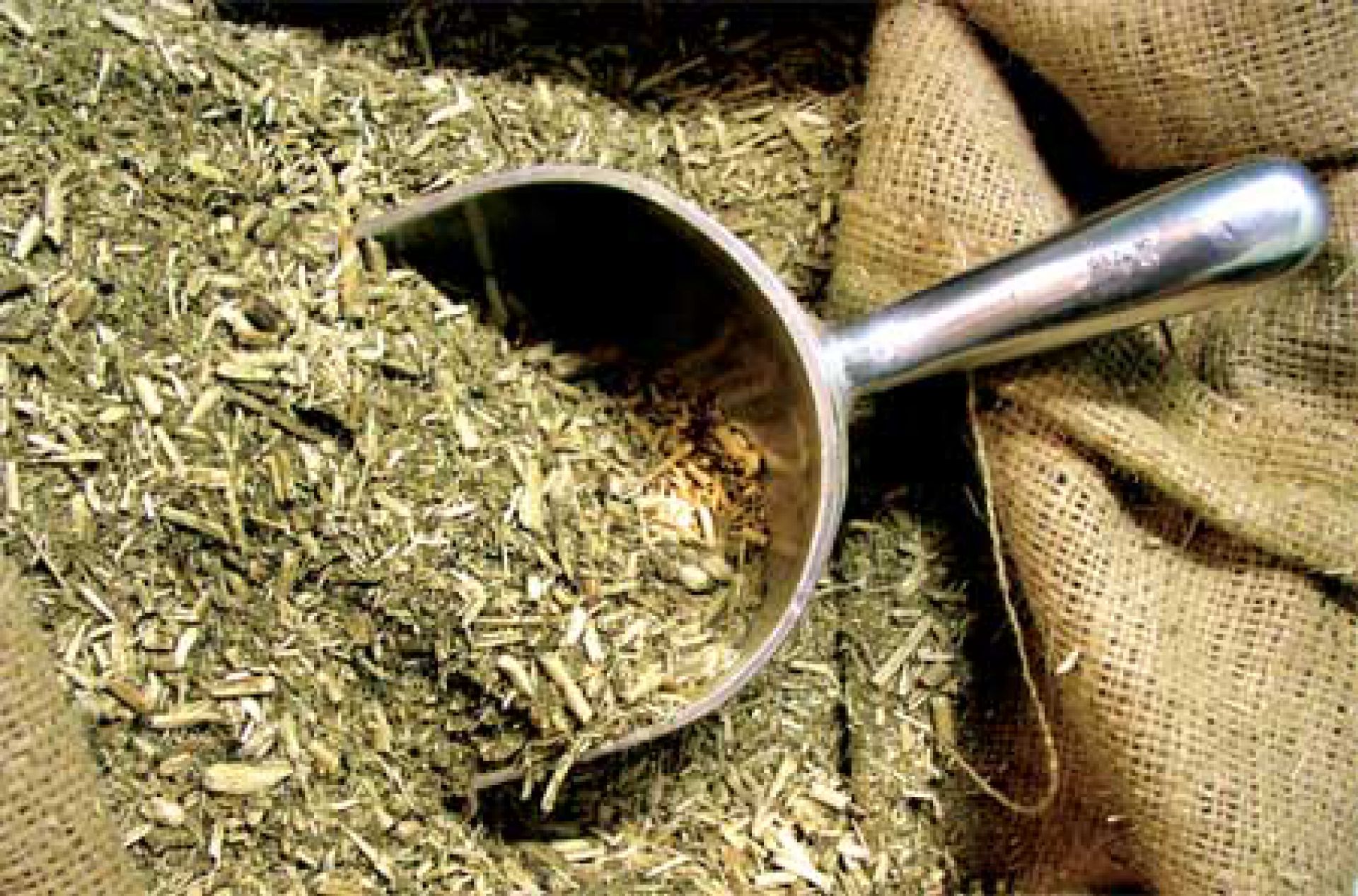 Yerba Mate klasyczne - yerba_mate_klasyczne.jpg